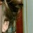collyerA profile pic