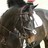 sophy414_1 profile pic