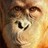 thegiantkiller profile pic