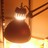 wubbawubba275 profile pic