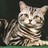 Sherri Cat Lady profile pic