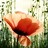 MamiePeinture profile pic