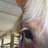 gogirl46 profile pic
