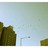 erkonom profile pic