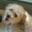 Smacks_premium profile pic