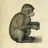renaissance.monkey profile pic