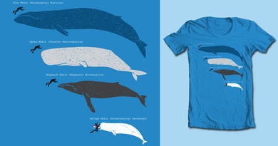 You Should Get To Know Your Whales