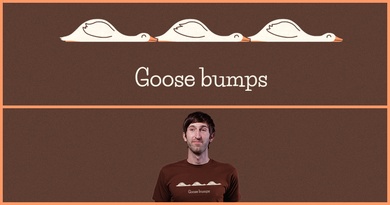 Goose Bumps