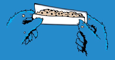 Cookie Dope