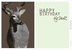 My deer