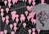 cherry blossom map
