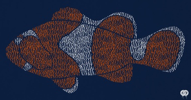 Clownfish