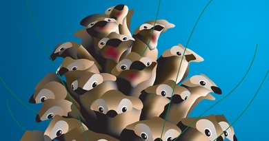 Little forest friends
