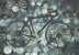 Night Cycle