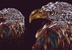 SOARING EAGLE