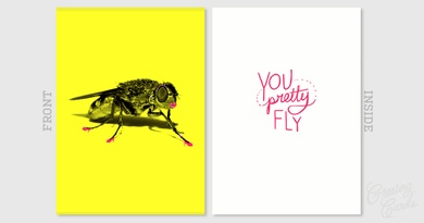 you pretty fly