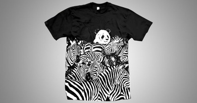 Lost In Zebra