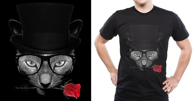 -=AristoCat=-