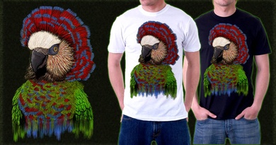 linear parakeet