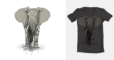 Elephant