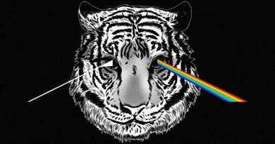 the darkside of tiger
