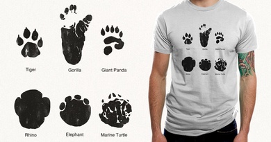 Animal Track