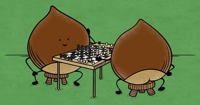 Chessnuts