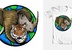 Conservation