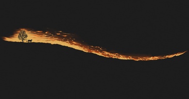 forest fires