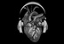 Anatomusic