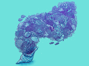 25% of sales benefit Oceanic Preservation Scty
