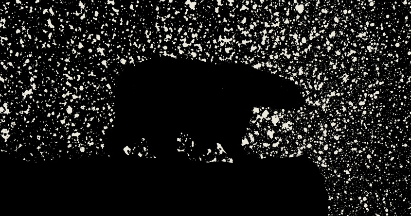 Ursa Major