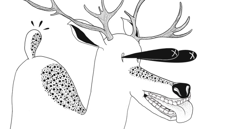 OH DEER