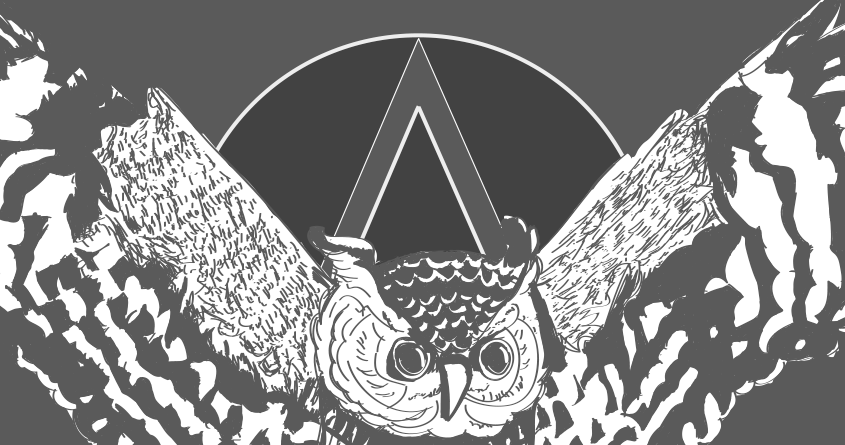 Late Night Owl