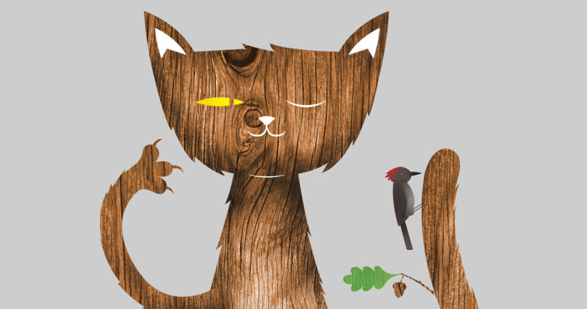 Wild Cat