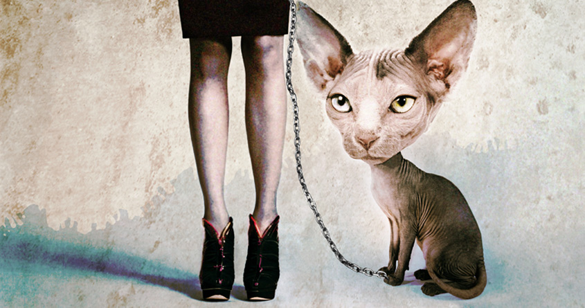CAT WITH GIRL