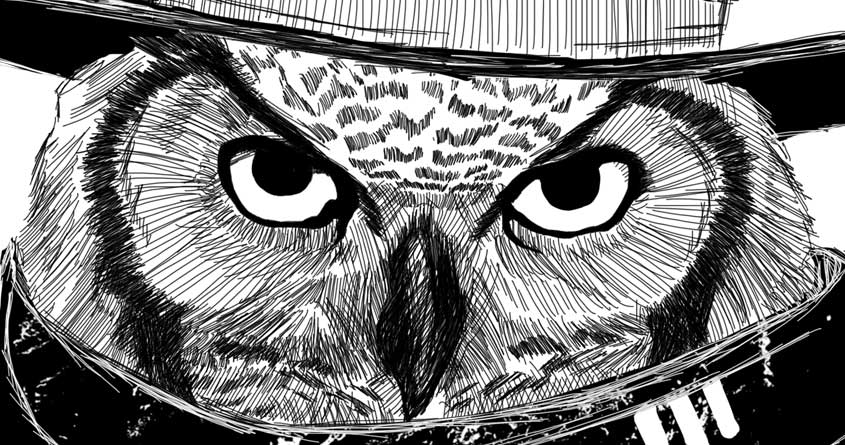 The Owl with No Name