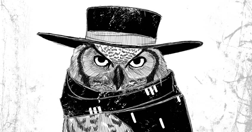 The Owl with No Name