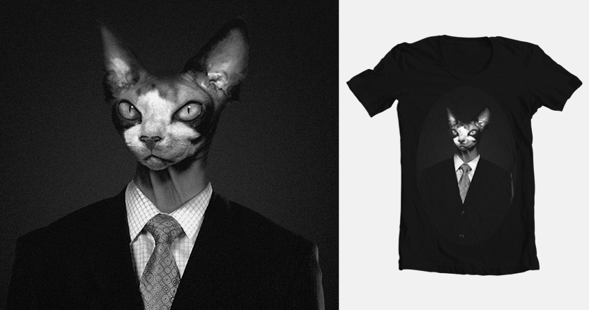 The Cat