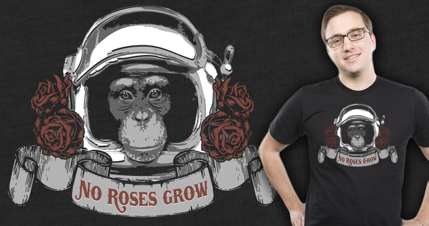 No Roses Grow