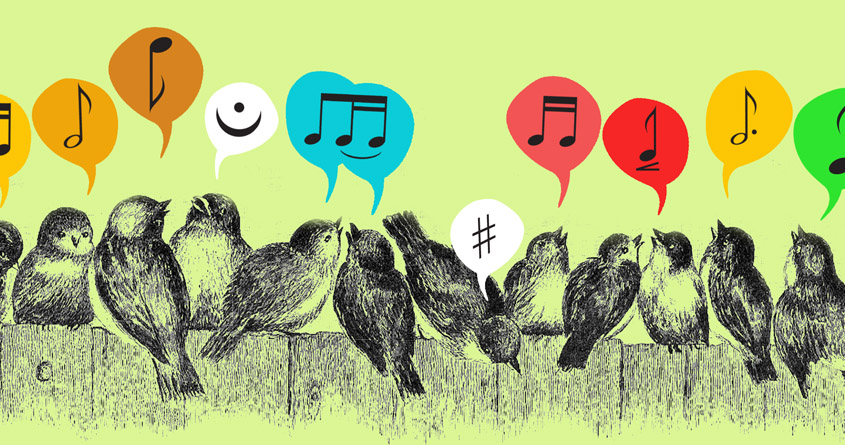 Birds of Symphony