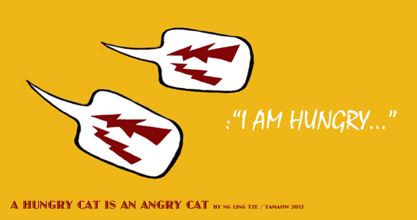 A Hungry Cat Is An Angry Cat